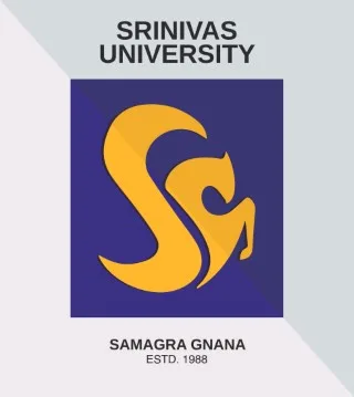 Srinivas University